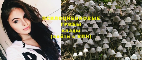 спиды Протвино